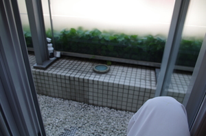 プライベート 001.JPG